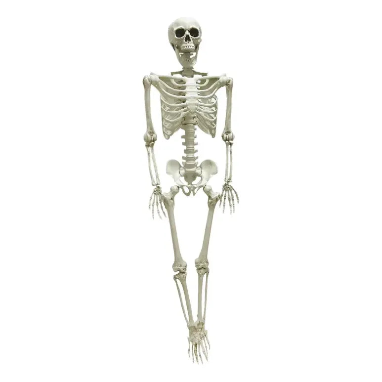 Calavera Esqueleto Decoración Halloween Terror 153 Cm Aprox
