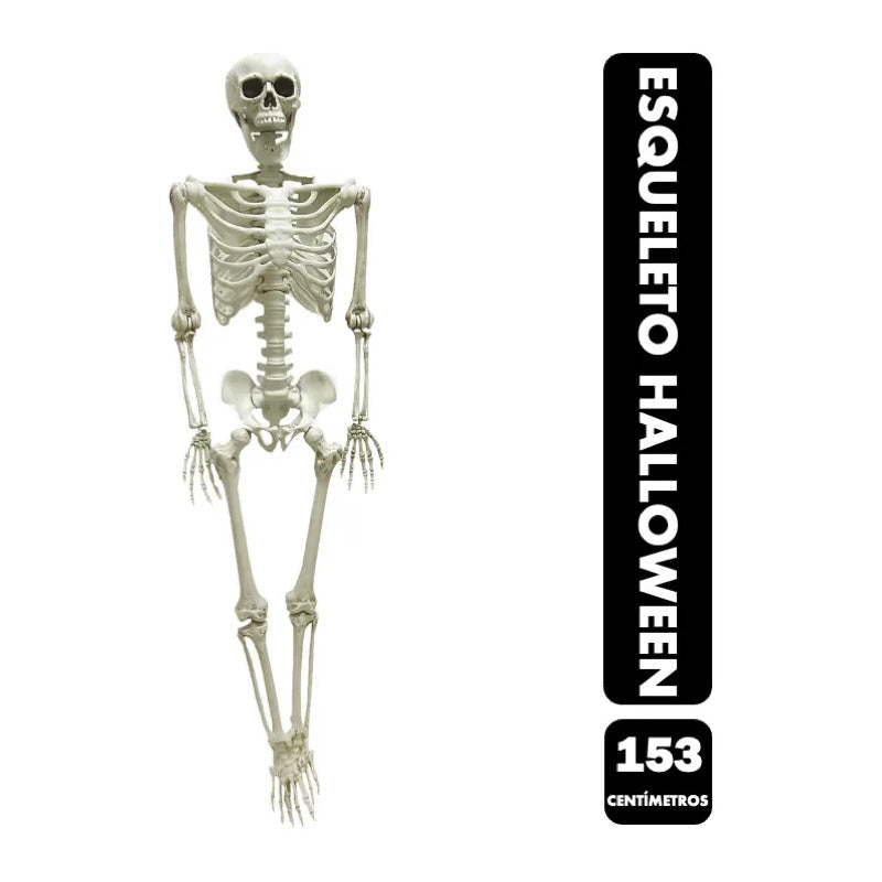Decoración Para Halloween - Calavera Esqueleto Terror