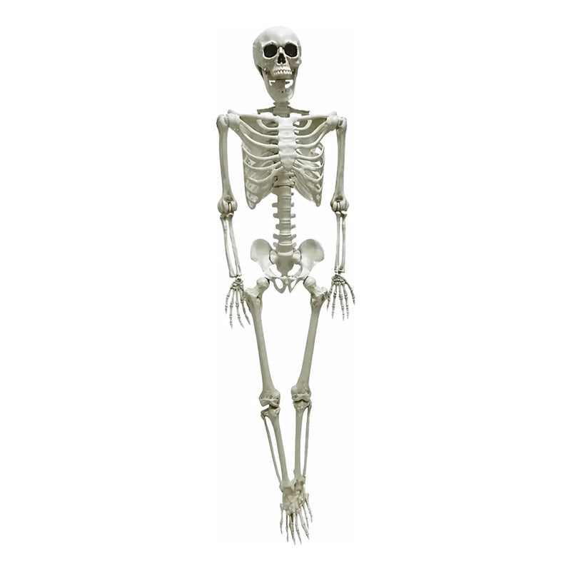 Decoración Para Halloween - Calavera Esqueleto Terror
